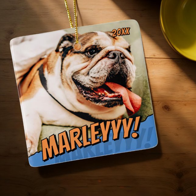 Modern Comic Simple Cool Custom Pet Photo Ceramic Ornament (Creator Uploaded)