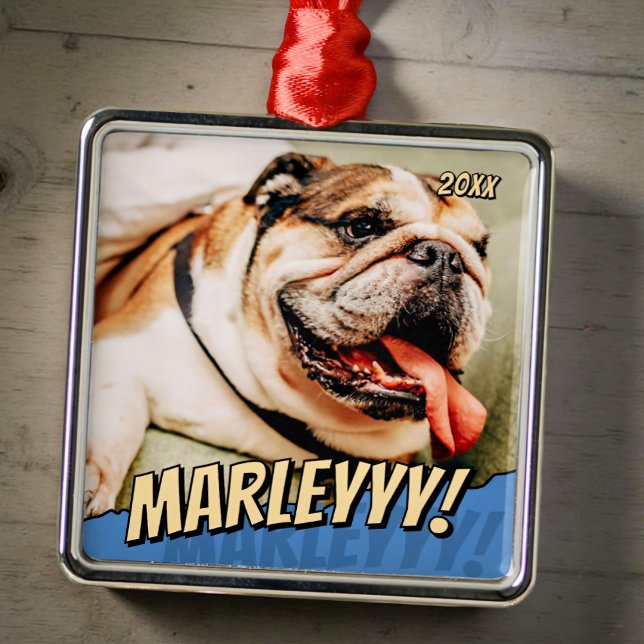 Modern Comic Simple Cool Custom Pet Photo Metal Ornament (Creator Uploaded)