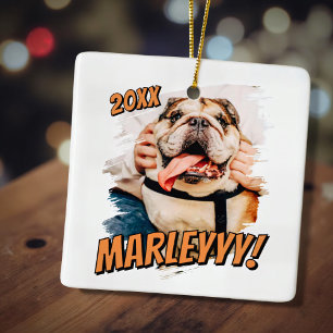 Modern Comic Simple Grunge Custom Pet Photo Ceramic Ornament