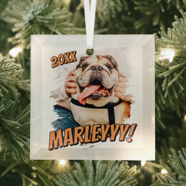 Modern Comic Simple Grunge Custom Pet Photo Glass Ornament (Insitu)