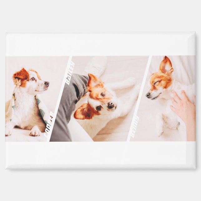 Modern Cool 3 Photo Names Collage Multi Pet Owner Magnet (Front)