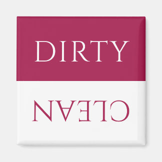 Modern Cranberry Berry Dirty/Clean Dishwasher Magnet