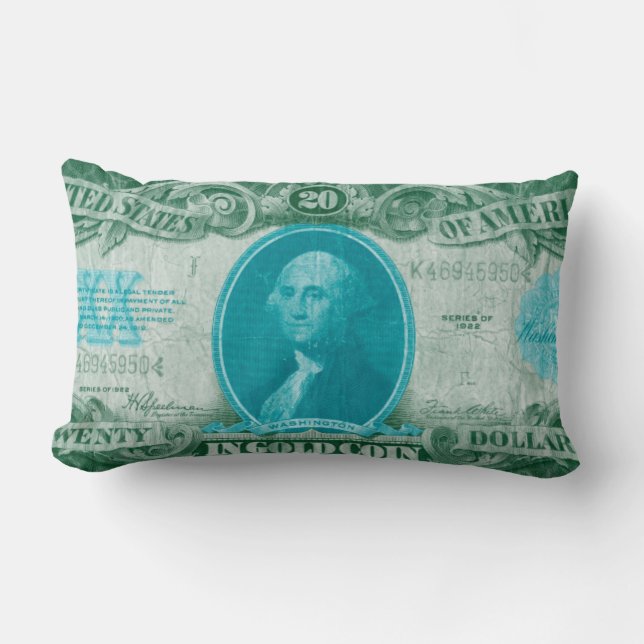 Modern Currency V Lumbar Pillow (Front)