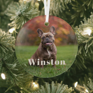 Modern Custom Pet Name Photo Holiday Glass Ornament