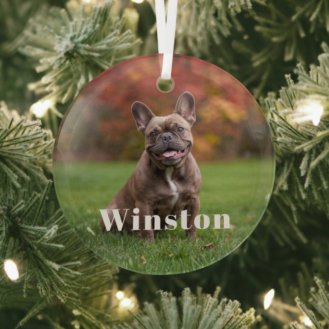 Modern Custom Pet Name Photo Holiday Glass Ornament (Insitu)