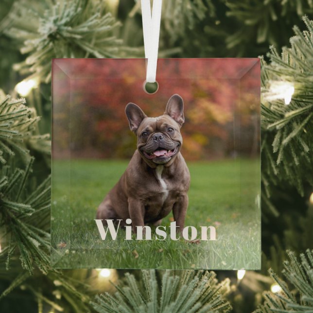 Modern Custom Pet Name Photo Holiday Glass Ornament (Insitu)