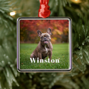Modern Custom Pet Name Photo Holiday Metal Ornament