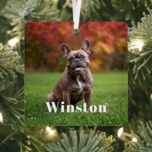 Modern Custom Pet Name Photo Holiday Metal Ornament