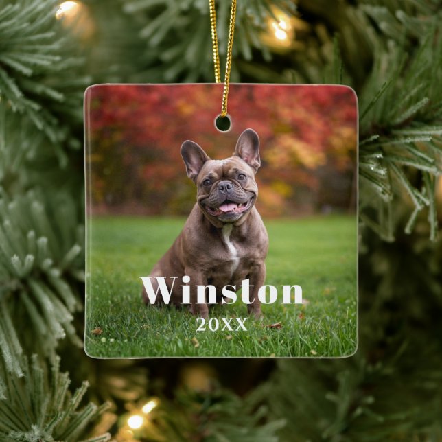 Modern Custom Pet Name Year Photo Holiday Ceramic Ornament (Tree)