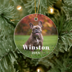 Modern Custom Pet Name Year Photo Holiday Ceramic Ornament