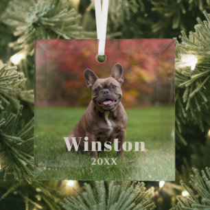Modern Custom Pet Name Year Photo Holiday Glass Ornament
