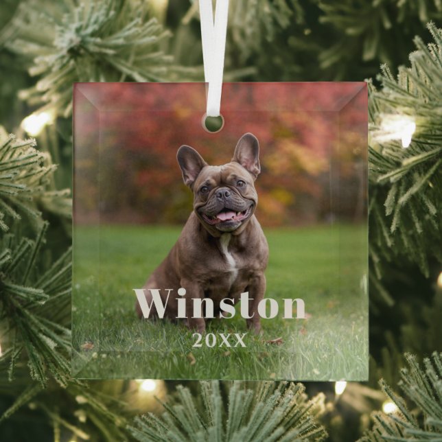 Modern Custom Pet Name Year Photo Holiday Glass Ornament (Insitu)