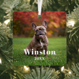 Modern Custom Pet Name Year Photo Holiday Metal Ornament