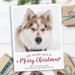 Modern Custom Pet Photo Dog Lover Merry Christmas  Postcard<br><div class="desc">We Woof You A Merry Christmas! Send cute and fun holiday greetings with this super cute personalized custom pet photo holiday card. Merry Christmas wishes from the dog with cute paw prints in a fun modern photo design. Add your dog's photo or family photo with the dog, and personalize with...</div>