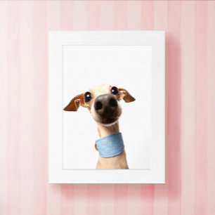 Modern Custom Pet Photo   Meeko Poster