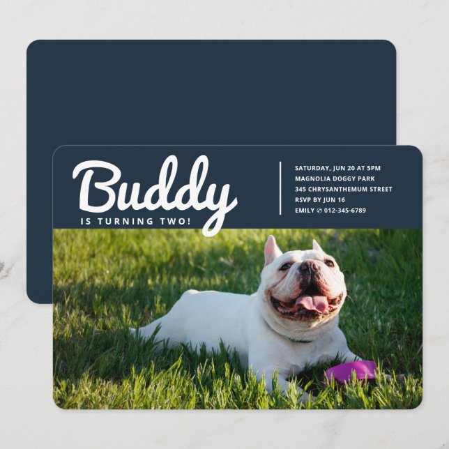 Modern Custom Pet Puppy Dog Photo Birthday Invitation (Front/Back)