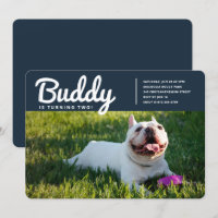 Modern Custom Pet Puppy Dog Photo Birthday