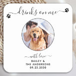 Modern Custom Photo Drinks On Me Pet Dog Wedding Square Paper Coaster<br><div class="desc">Drinks On Me! Add the finishing touch to your wedding with these cute custom photo wedding coasters . Perfect for your wedding after party and reception, and as wedding favours for your guests. Customize these photo dog wedding coasters with your favourite wedding photo, dog of honours photo, or your newlywed...</div>