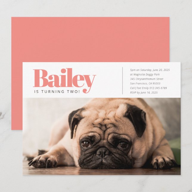 Modern Custom Puppy Dog Photo Birthday Invitation (Front/Back)