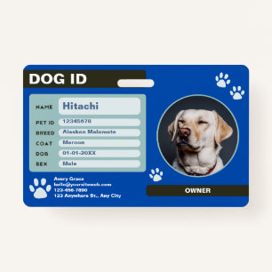 Modern Customizable Dog ID Tag with Photo  Badge