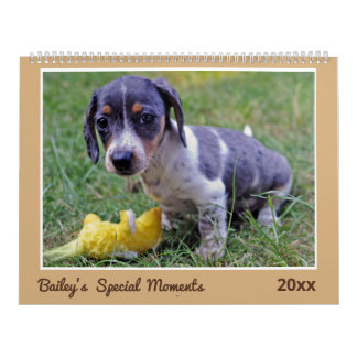 Modern Cute Dachshund Custom Pet Photos  Calendar