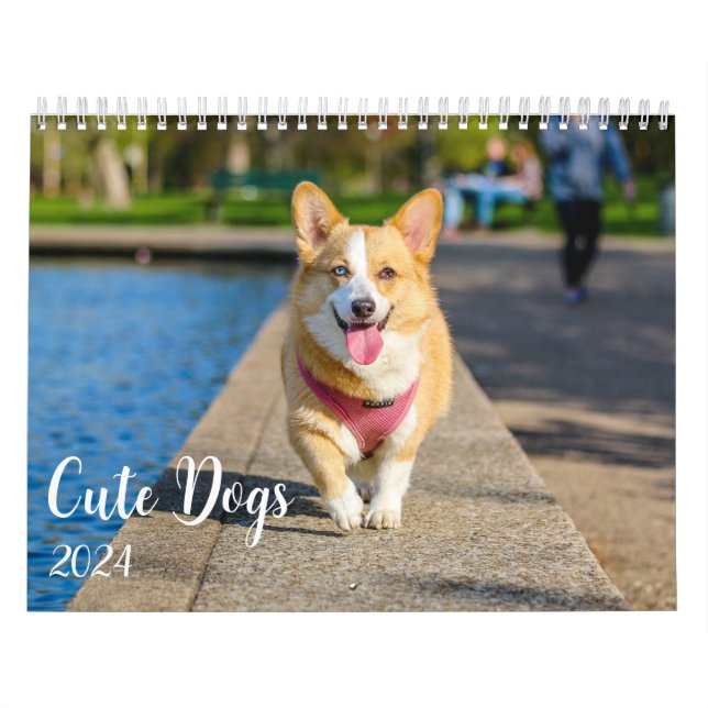 Modern Cute Dog Photos 2024 Calendar (Cover)