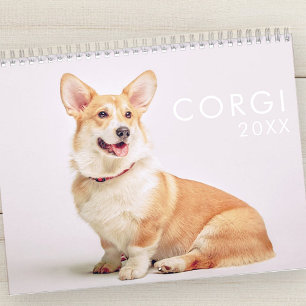 Modern Cute Funny Corgi Dogs Photos Calendar