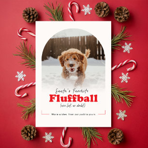 Modern Cute Funny Dog Pet Arch Photo Christmas Holiday Card