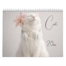 Modern Cute Funny Pet  Cat Photos 