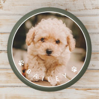 Modern Cute Paws Family Pet Photo