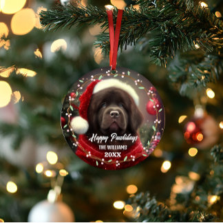 Modern cute pet dog Happy Holidays 2-Sided 2-Photo Ornament