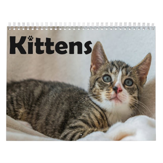 Modern Cute Pet Kitten Cat Photos Yearly  Calendar (Cover)