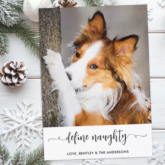 Modern Define Naughty Personalized Funny Pet Photo Holiday Card (Creator Uploaded)