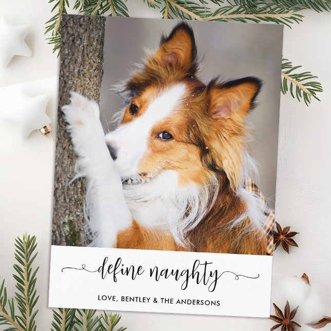 Modern Define Naughty Personalized Funny Pet Photo Holiday Postcard (Creator Uploaded)