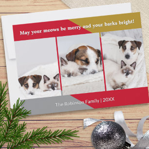 Modern Dog Cat Photo Pet Humour Christmas Holiday Card