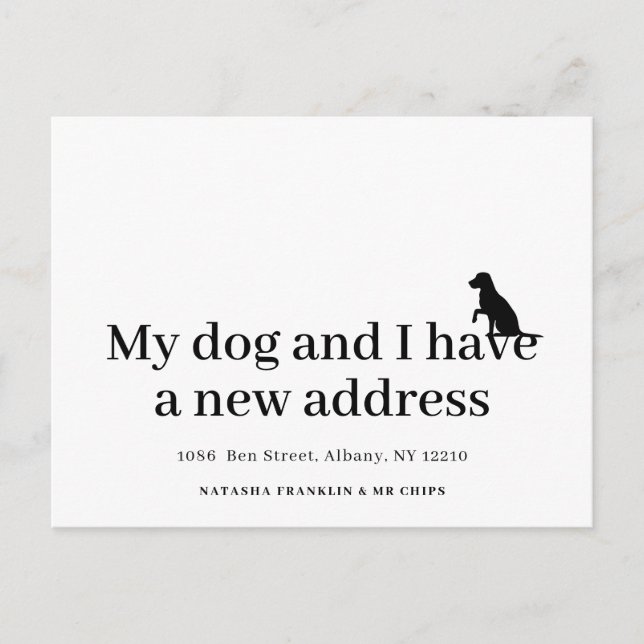 Modern Dog Pet New Address I've Moved Announcement Postcard (Front)