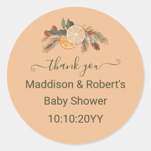 Modern Dried Winter Citrus Baby Shower Classic Round Sticker