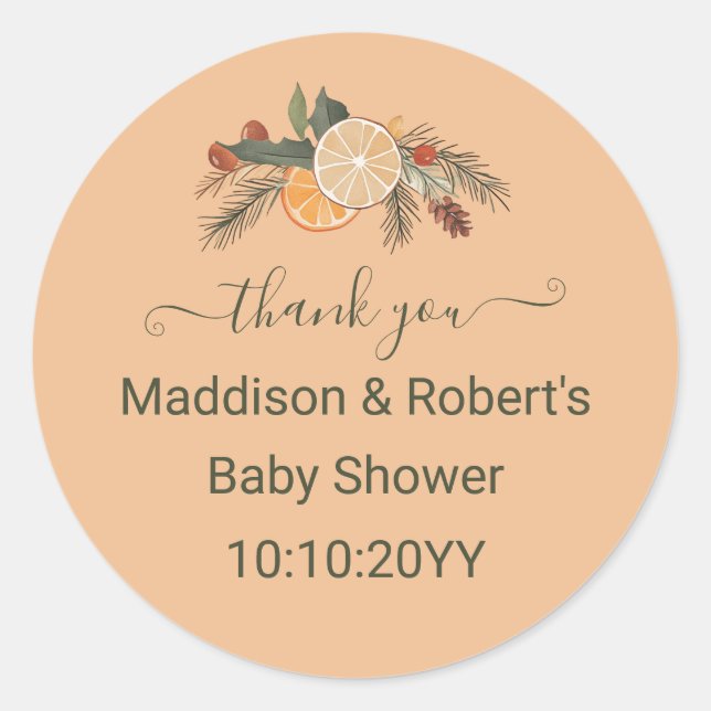 Modern Dried Winter Citrus Baby Shower  Classic Round Sticker (Front)