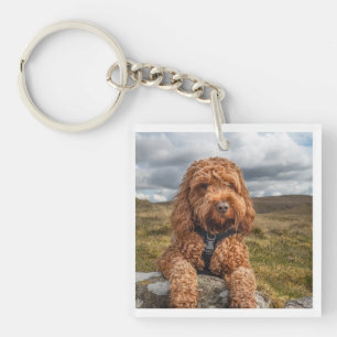 Modern Elegant Dog Photo Keychain