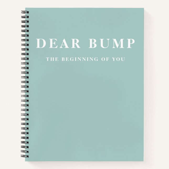 Modern Elegant Minimal Mint Pregnancy Gift Notebook (Front)