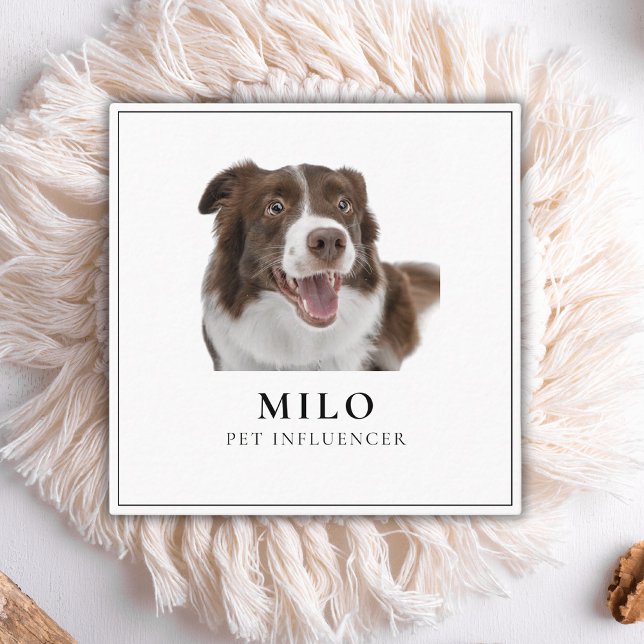 Modern Elegant Photo Dog Pet Social Media QR Code Square Business Card (Creator Uploaded)