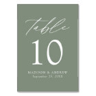 Modern Elegant Sage Green Wedding