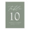 Modern Elegant Sage Green Wedding Table Numbers