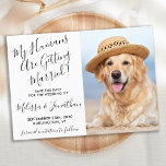 Modern Elegant Wedding Photo Personalized Pet Dog  Save The Date<br><div class="desc">Let your Best Dog announce your wedding with this super cute 'My Humans Are Getting Married' pet dog save the date cards. Customize with your favourite photo, and personalize with names, date, and wedding location. COPYRIGHT © 2020 Judy Burrows, Black Dog Art - All Rights Reserved. Modern Photo Personalized Pet...</div>