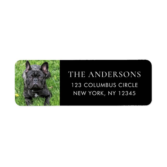 Modern Family Dog Photo Return Address Label (Front)