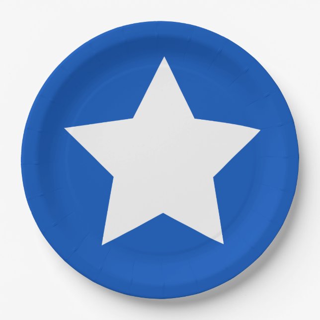 Modern Feminist Symbol Suffrage Paper Plate (Front)