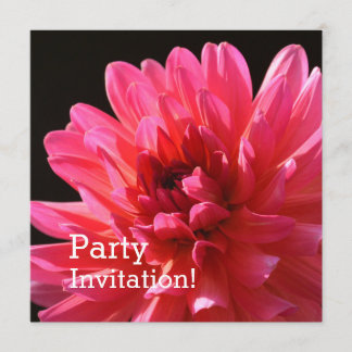 Modern Floral Pink Dahlia Karma Fuchsiana Flower Invitation