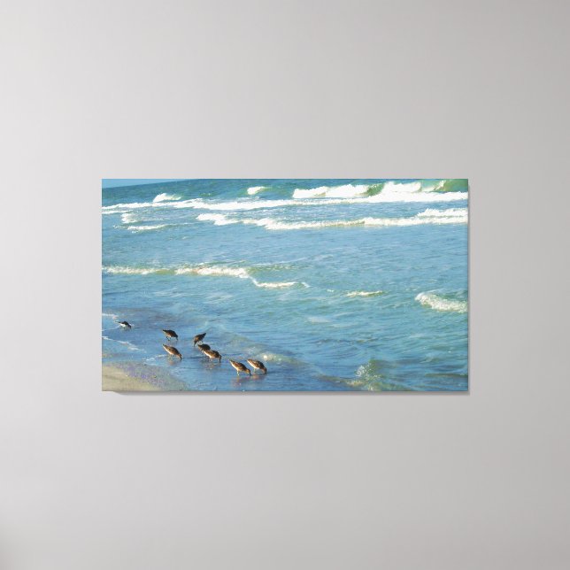 Modern Florida Shorebirds Ocean Photo Canvas Print (Front)