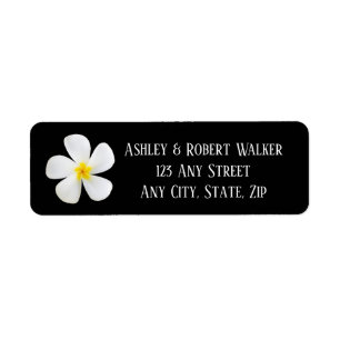 Modern Formal Classic, White on Black, Wedding