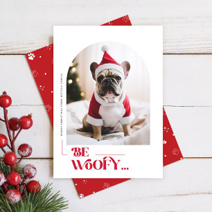 Modern Funny Dog Pet Arch Photo Christmas Holiday Card
